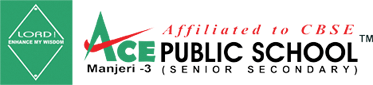 Ace Public School, Malappuram, Kerala